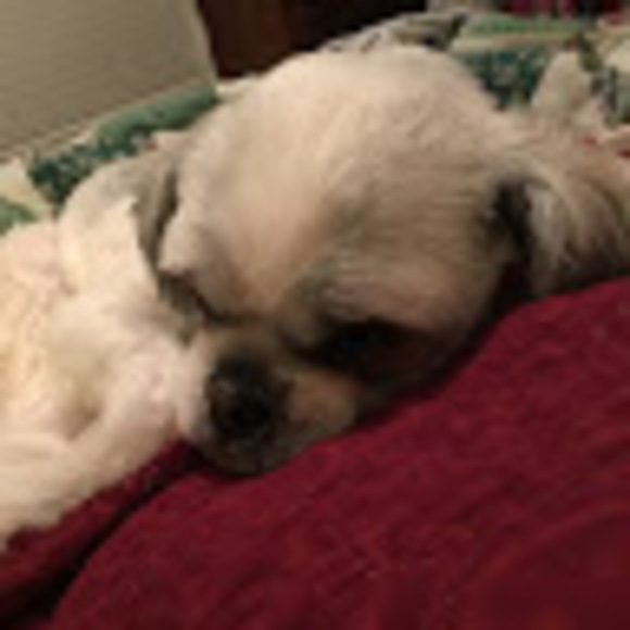 Meet your Posher, Jennifer - Picture 1 of 1